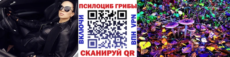Купить закладки  Сысерть  Галлюциногенные грибы GOLDEN TEACHER 